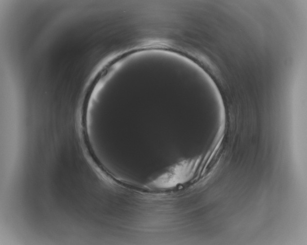 X0000111051422200907231547