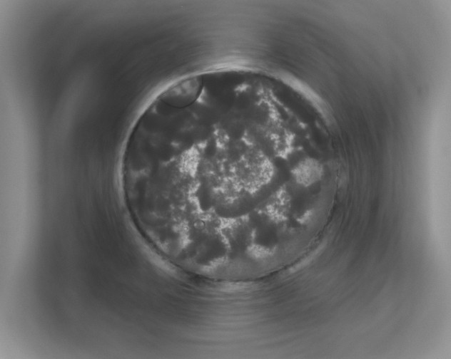 X0000111051423200907231547