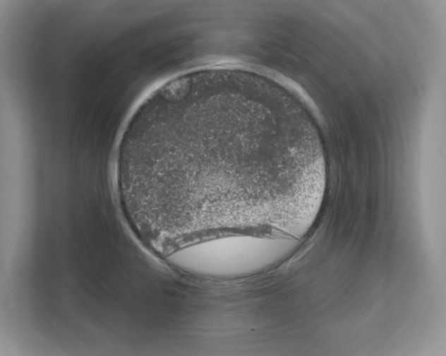 X0000111051424200907231547