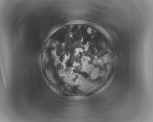 X0000111051425200907231547