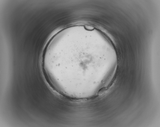 X0000111051426200907231547