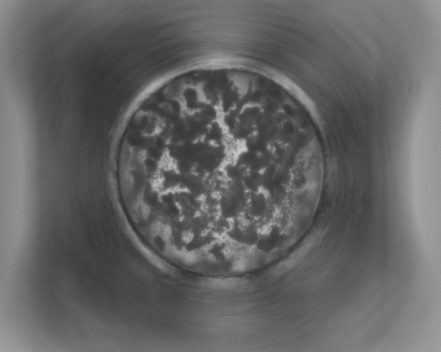 X0000111051429200907231547