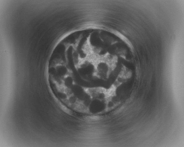 X0000111051431200907231547