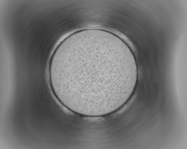 X0000111051432200907231547