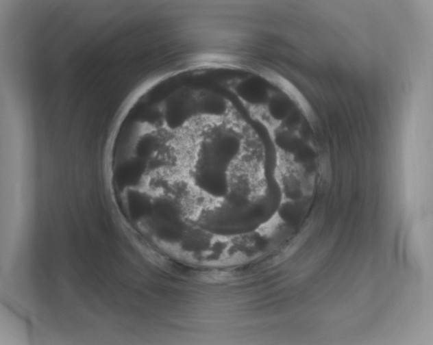 X0000111051435200907231547