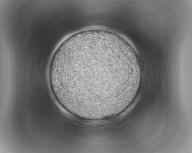 X0000111051438200907231547