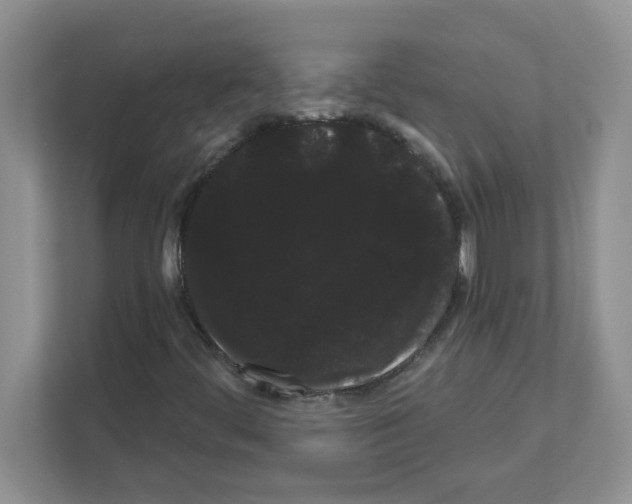 X0000111051444200907231546