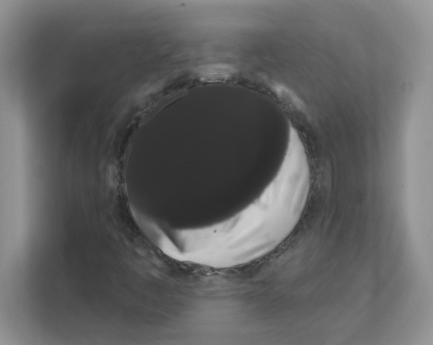 X0000111051445200907231546