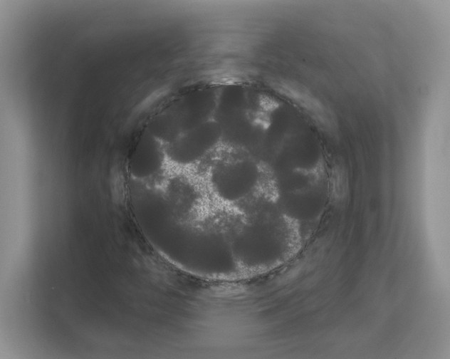 X0000111051446200907231546