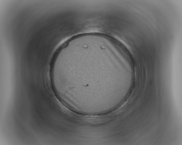 X0000111051452200907231546