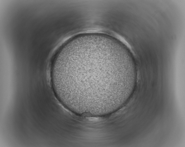 X0000111051456200907231546