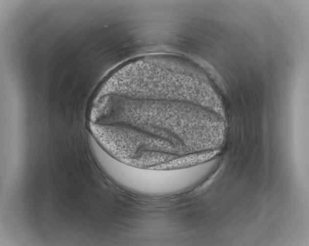 X0000111051457200907231546