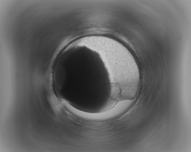 X0000111051459200907231546