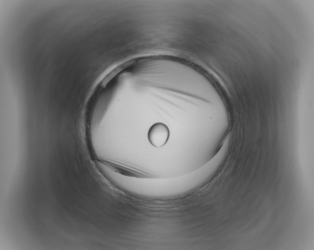 X0000111051460200907231546