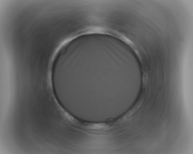 X0000111051464200907231546