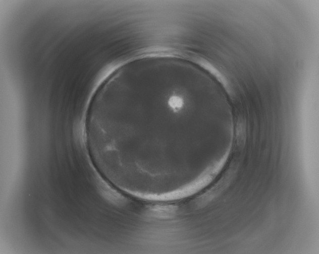 X0000111051466200907231546