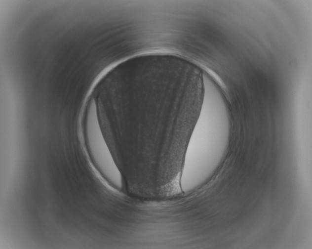 X0000111051468200907231546