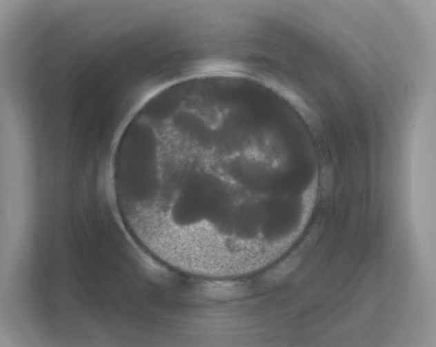 X0000111051470200907231546