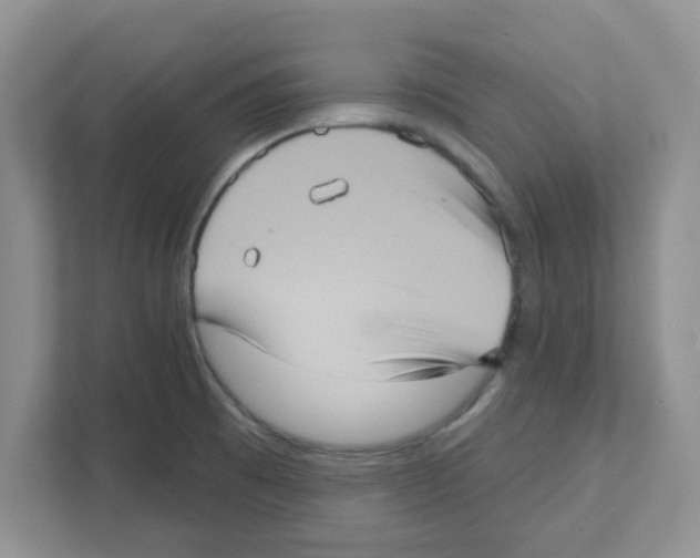 X0000111051473200907231546