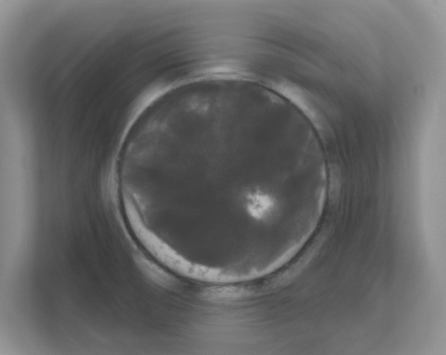 X0000111051474200907231546