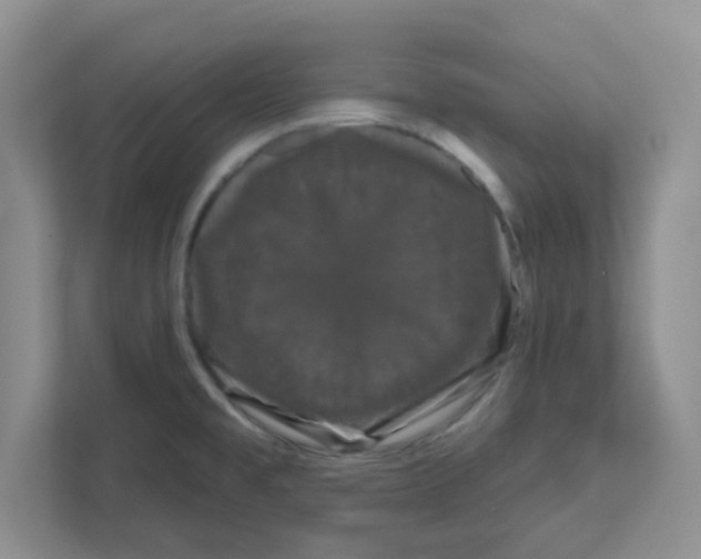 X0000111051477200907231546