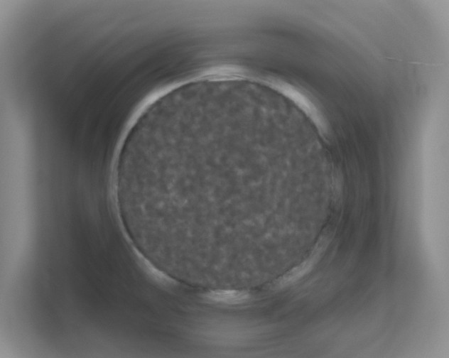 X0000111051478200907231546