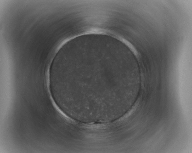 X0000111051479200907231546