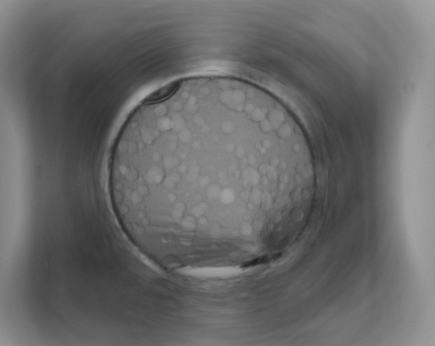 X0000111051480200907231546