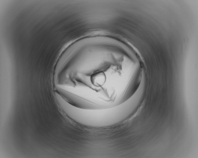 X0000111051481200907231546