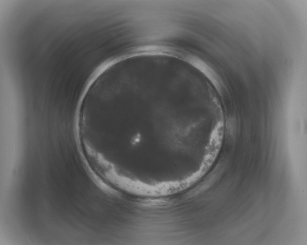 X0000111051482200907231546