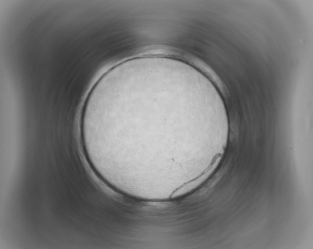 X0000111051483200907231546