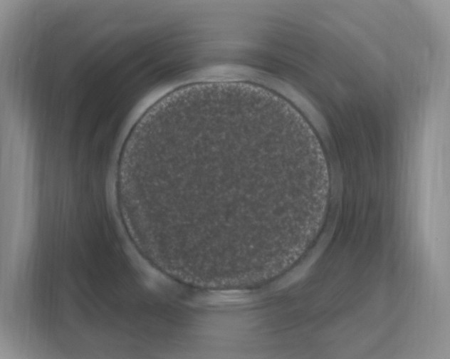 X0000111051486200907231546