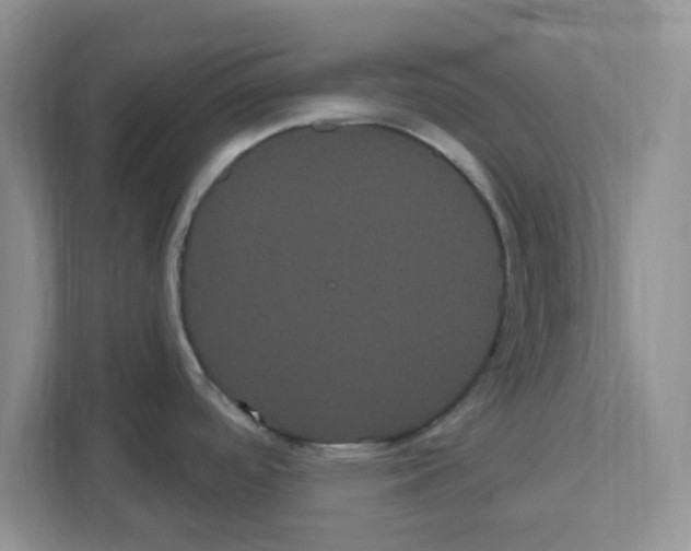 X0000111051488200907231545