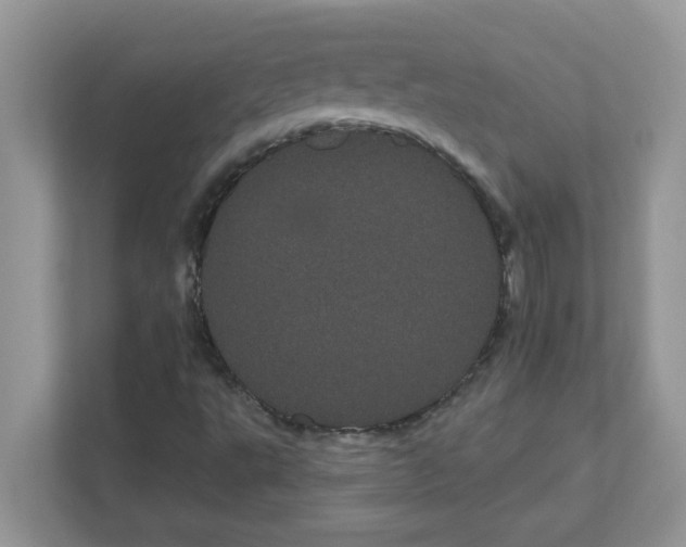 X0000111051495200907231545