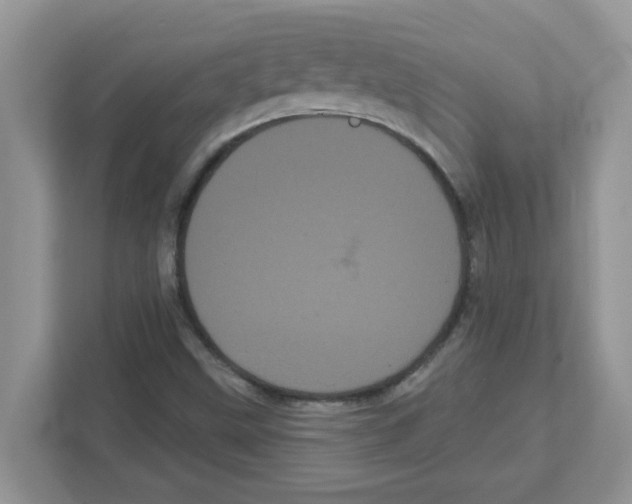 X0000111051499200907231545