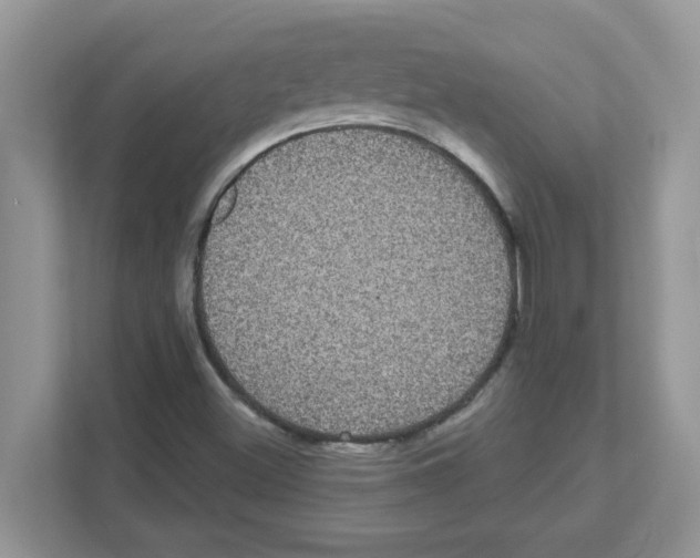 X0000111051500200907231545