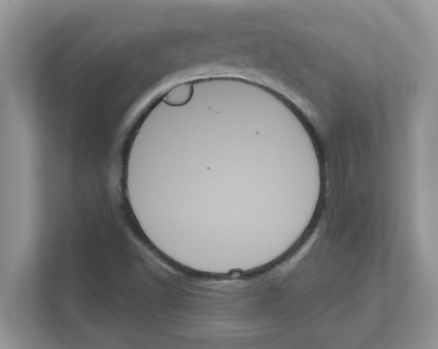 X0000111051502200907231545