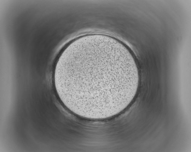 X0000111051503200907231545