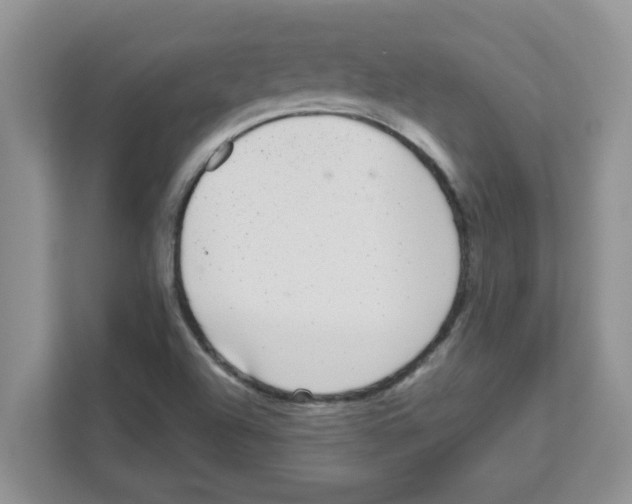 X0000111051504200907231545