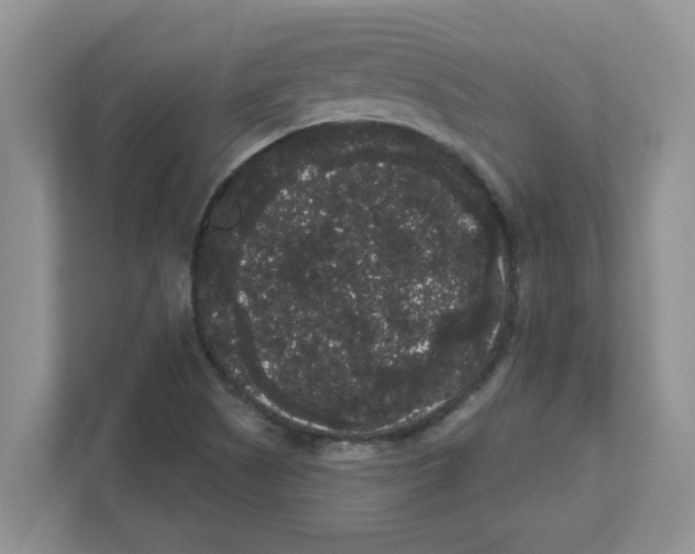 X0000111051505200907231545