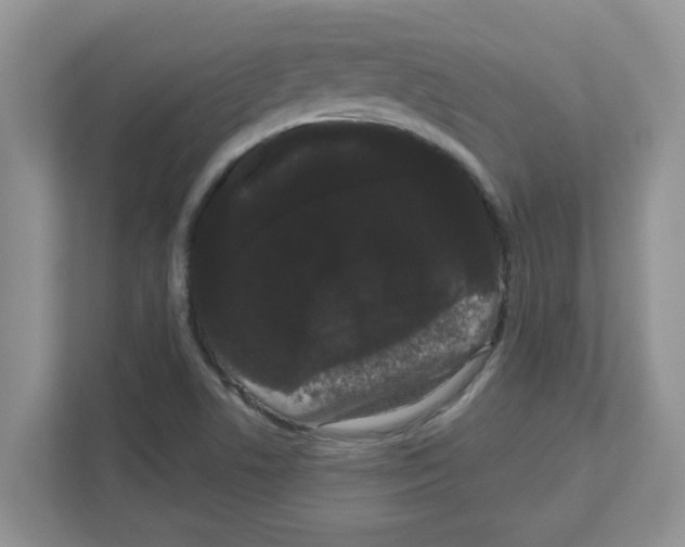 X0000111051506200907231545