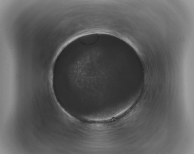 X0000111051508200907231545