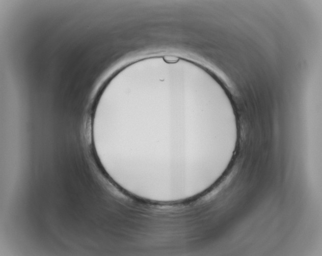 X0000111051510200907231545