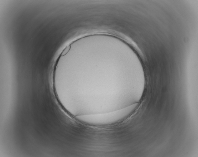 X0000111051512200907231545