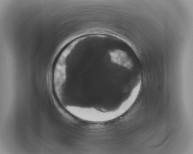 X0000111051515200907231545