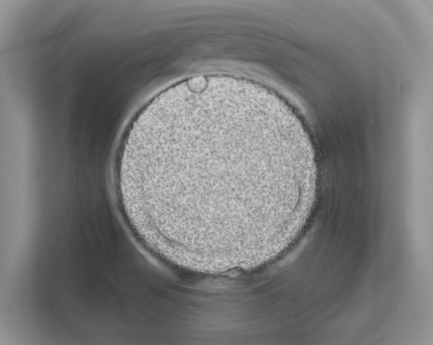 X0000111051517200907231545