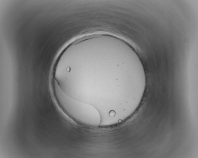 X0000111051518200907231545