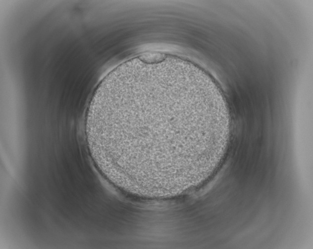 X0000111051521200907231545