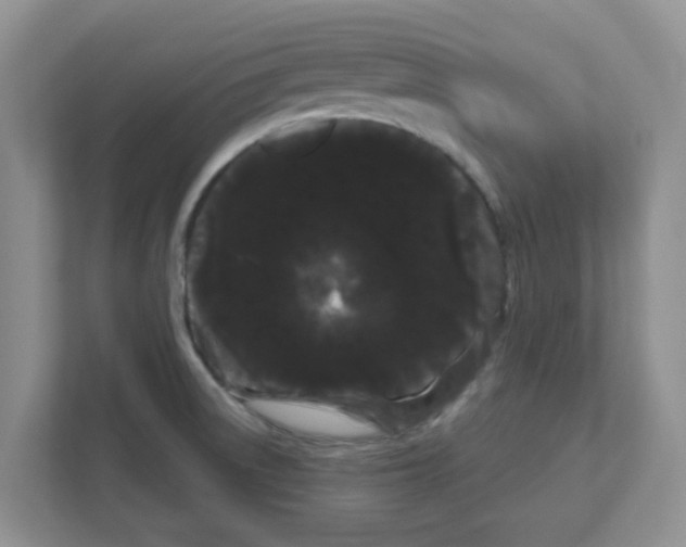 X0000111051522200907231545