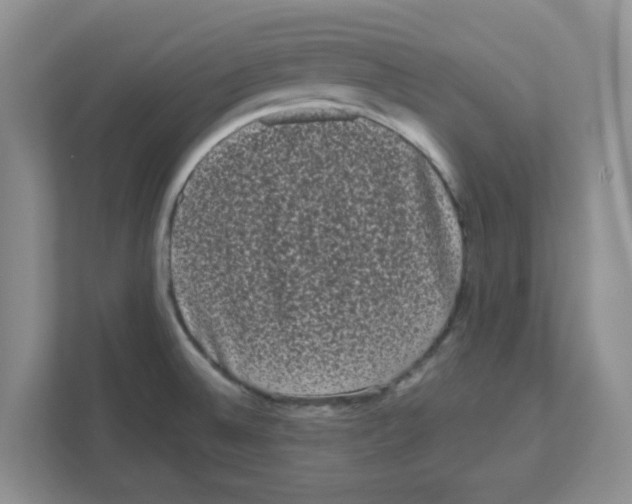 X0000111051524200907231545